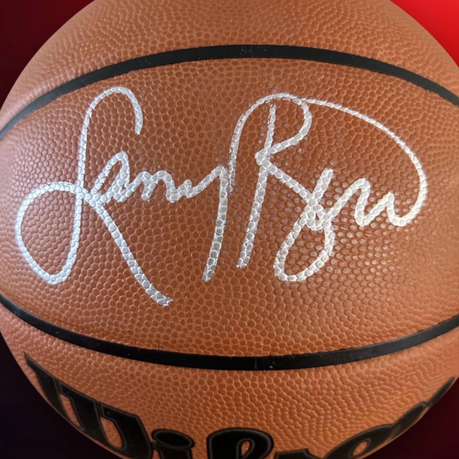 Larry Bird signed Official Game basketball, product photograph 2